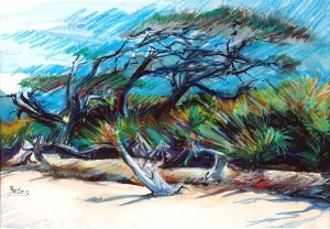 Philip Bates Artist "Beach at Blackbeard Island" 9 1/2X 13 1/2 mixed media $150 framed